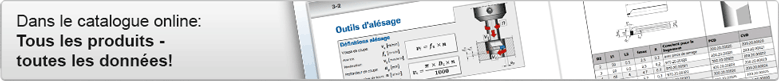 Catalogue online